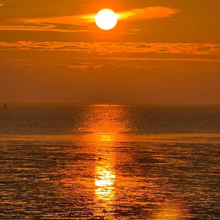 Haus Viking Mit 2 Bjorn 4 Pers Und Floki 6 Pers Mit Duene Und Garten